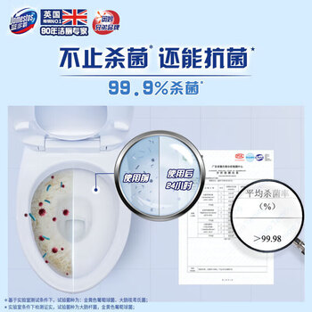 蓝多霸（DOMESTOS） 清洁剂 长效洁厕啫喱冰川山泉香600G 清洁去垢 长效留香
