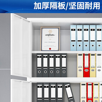 远奥文件柜铁皮柜钢制办公柜凭证资料档案柜员工柜储物柜通三节文件柜