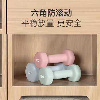 诚悦彩色浸塑哑铃男女士家用健身肌肉手臂塑形轻重量雅灰6kg*2CY-572