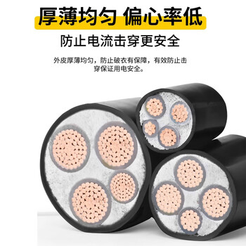 珠江电缆 ZC-YJV国标3+2铜芯3*50+2*25平方户外充电桩阻燃护套电缆 1米 定制品