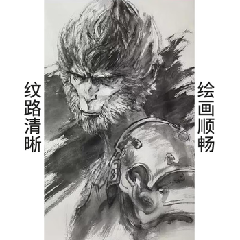 天章(TANGO)4K素描纸110g 绘画纸素描本速写手绘涂鸦彩铅画纸/美术生临摹写生老师学生儿童美术考试用纸20张 天章(TANGO)4K素描纸110g 绘画纸素描本速写手绘涂鸦彩铅画纸/美术生临摹写生老师学生儿童美术考试用纸20张