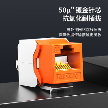 安普康(AMPCOM)网络面板模块 6个六类锁扣免打 非屏蔽CAT6类网线插座 千兆RJ45水晶头镀金UTP信息网口 AMC668OR 安普康(AMPCOM)网络面板模块 6个六类锁扣免打 非屏蔽CAT6类网线插座 千兆RJ45水晶头镀金UTP信息网口 AMC668OR