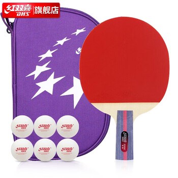 红双喜二星训练成品拍升级版直拍H2006双面反胶乒乓球拍含拍包乒乓球