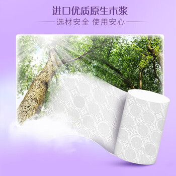 维达（Vinda）棉韧4层120克实芯卫生纸（中棒） 12卷*6提 V4629 整箱出售