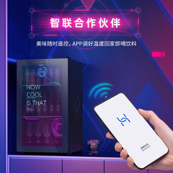 HCK冰吧88L智能APP家用嵌入式冷藏茶叶保鲜立式电竞房冰箱卧室冰吧SC-98ZZAS 第二代赛博朋克负温冰吧