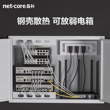 磊科（netcore）GS9 9口企业级交换机8个2.5G电口+1个万兆SFP光口 支持向下兼容1G光电模块 千兆网络分线器
