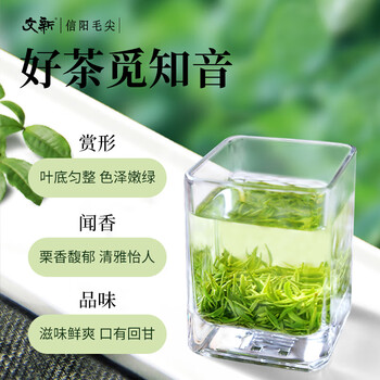 文新绿茶2025新茶1915信阳毛尖特级160g明前礼盒茶