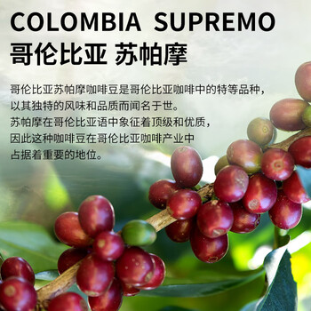 LUJIAZUI鹿家嘴蕙兰苏帕摩意式咖啡豆手冲美式中深度烘焙200g
