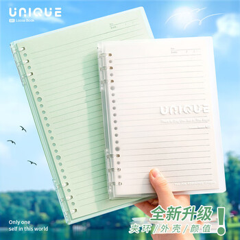 三木（SUNWOOD）A5/60张120页不硌手活页本 半透外壳简约6孔可拆卸便携活页笔记本 考研错题作业本 淡粉 1393