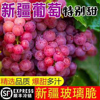 新疆玻璃脆葡萄玻璃翠新鲜水果当季整箱无核嘎嘣脆红提4斤顺丰甜2斤