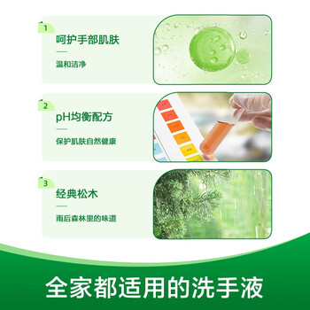 滴露（Dettol）健康抑菌洗手液滋润倍护清洁 滋润倍护450g+经典松木450g