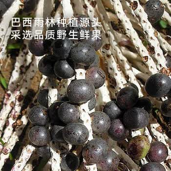 OH MyFood冻干纯巴西莓粉45g/盒花青素果蔬纤维早餐冲饮料超级食物代餐粉