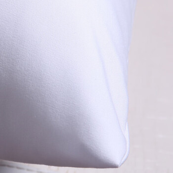 艾薇抱枕家纺 高弹沙发抱枕芯 汽车方垫芯 办公室靠垫芯45*45cm单只装 艾薇抱枕家纺 高弹沙发抱枕芯 汽车方垫芯 办公室靠垫芯45*45cm单只装