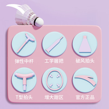 安踏羽毛球拍男女对拍耐打深凹槽比赛双拍球包尼龙球手胶套装