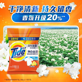 汰渍洗衣粉 【整箱实惠 家庭囤货】净白去渍(柠檬清新型)2.55KG*9袋