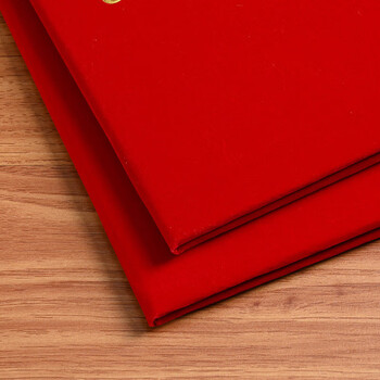 泰档证书荣誉证书绒面烫金A4尺寸加厚空白内芯内页大12开（A4）10张RJ1210