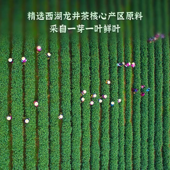 西湖龙冠【真西湖龙井】龙冠春晓T30特级20g 2025茶叶 年货节便携装 西湖龙冠【真西湖龙井】龙冠春晓T30特级20g 2025茶叶 年货节便携装