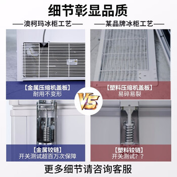 澳柯玛冷藏冷冻转换冰柜BC/BD-202NE 202升