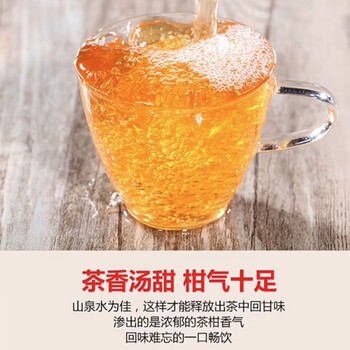 素言茶坊云南新会原产小青柑茶叶精美礼盒装 青出于蓝