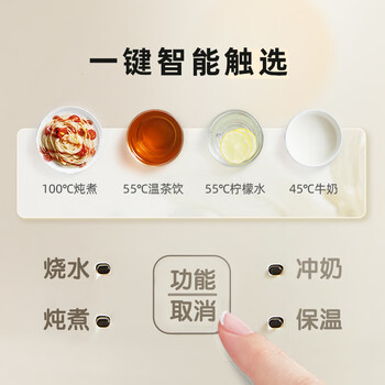 小熊（Bear）便携式烧水壶烧水杯电热水壶 0.6L迷你恒温水壶养生家用旅行冲奶电水壶 ZDH-A06H1