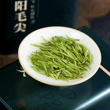 四望山茶叶绿茶信阳毛尖明前嫩芽2025新茶250g特级春茶礼袋节日伴手礼品