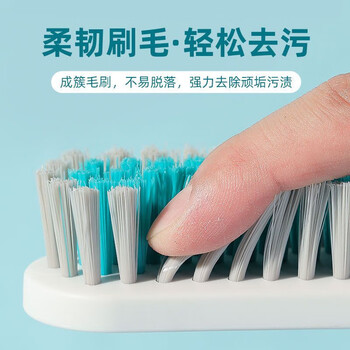 茶花大号洗衣刷子套装【共2把】家用多功能洗鞋神器洗鞋刷随机颜色