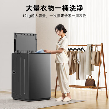 创维12公斤波轮洗衣机全自动家用大容量 抗菌除螨防污染 免清洗一级能效随机发货 国家家电补贴 T120J