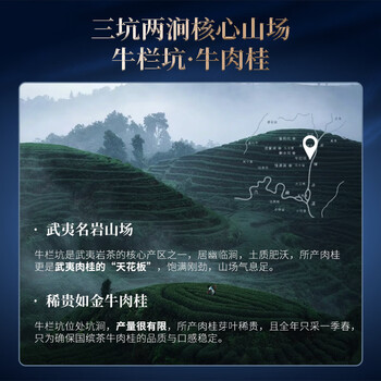 华祥苑国缤茶 牛栏坑正岩牛肉桂特级茶叶礼盒装乌龙茶41.5g送礼高档礼品