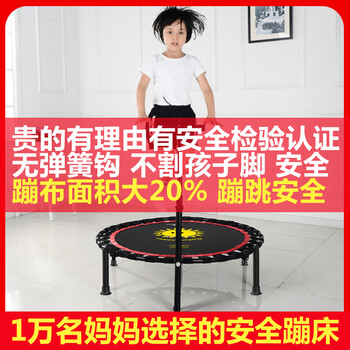 宏太(HongTai)蹦蹦床成人儿童家用健身房蹦床儿童娱乐跳跳床健身器材 宏太(HongTai)蹦蹦床成人儿童家用健身房蹦床儿童娱乐跳跳床健身器材