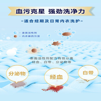 小林制药（KOBAYASHI）洁内宝内衣清洗剂抗菌型300ml *2去血渍去污内裤专用洗衣液