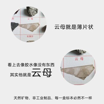 【全网低价】舜江 岩石矿物标本 地理科普展示教具学具小学四年级科学自然课用观察矿物石头 20种矿物岩石标本+放大镜