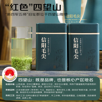 四望山茶叶绿茶信阳毛尖明前嫩芽2025新茶250g特级春茶礼袋节日伴手礼品