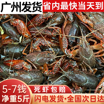 小龙虾鲜活水产5斤567钱潜江清水活虾稻田淡水虾【图片 价格 品牌