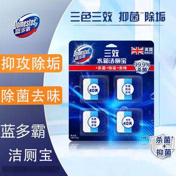 蓝多霸【热销】香杉松木香洁厕灵1瓶600g+洁厕宝8颗360g