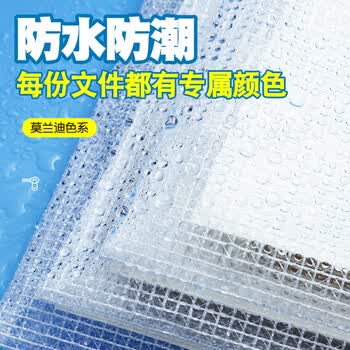 晨光（M&G）【宇宙帮帮忙同款】 学生科目袋A4学科袋莫兰迪色网格拉链袋资料分类收纳透明试卷袋具袋ADM945R9