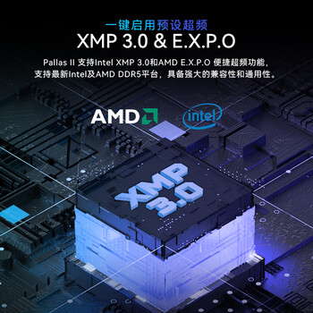宏碁掠夺者（PREDATOR）32G(16G×2)套装 DDR5 6600频率 台式机内存条 Pallas II 凌霜系列（C34）星光银 AI电脑配件