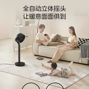 美的美的暖风机 取暖器家用定时客厅四季循环机风暖立式HFU22XR黑