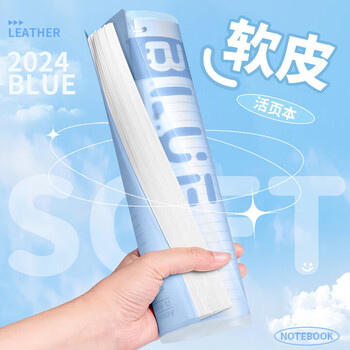 三木（SUNWOOD）B5/30张60页不硌手活页本 半透外壳10孔可拆卸便携活页笔记本 考研错题作业本 冰蓝 1283