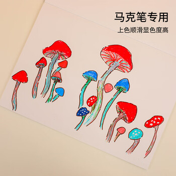 国誉(KOKUYO)Campus·马克本图画本学生绘画笔记本子胶装本绘图本 A4/30页 1本 WCN-CSKM0233 国誉(KOKUYO)Campus·马克本图画本学生绘画笔记本子胶装本绘图本 A4/30页 1本 WCN-CSKM0233