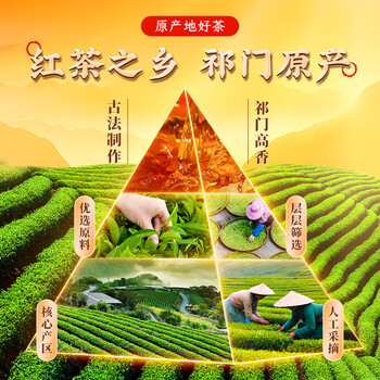 七春正宗祁门红茶香螺安徽茗茶罐装伴手礼茶叶自己喝320g中秋礼赠