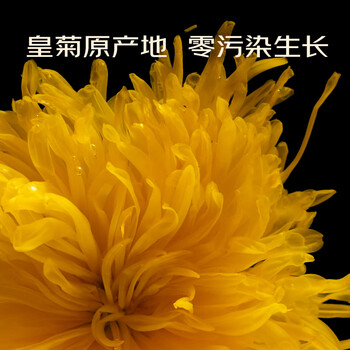 菊芝韵菊花茶 30朵金丝皇菊27g 0添加无硫熏 茶叶一朵一杯 菊芝韵菊花茶 30朵金丝皇菊27g 0添加无硫熏 茶叶一朵一杯