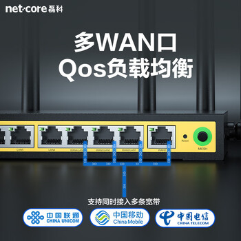 磊科（netcore）B11全千兆9口企业级无线路由器 1200M双频5G多WAN口 家用商用高速路由WiFi穿墙/多运营商接入