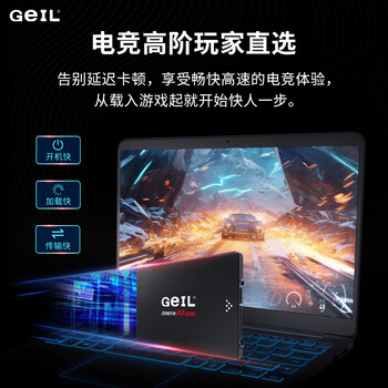 GEIL金邦 2TB SSD固态硬盘 SATA3.0接口 台式机笔记本通用 高速550MB/S A3系列 电脑升级核心组件 GEIL金邦 2TB SSD固态硬盘 SATA3.0接口 台式机笔记本通用 高速550MB/S A3系列 电脑升级核心组件