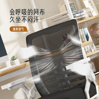 奈高电脑椅办公椅子家用舒适人体工学椅会议椅乳胶坐垫电镀弓形椅白框