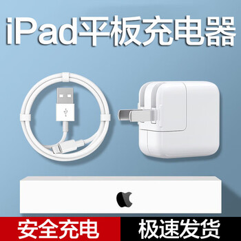 ipad mini4 充电器- 京东