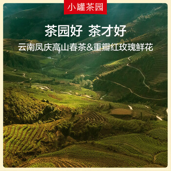 小罐茶（HWM）小罐茶园彩标系列云南玫瑰红茶大罐装茶叶自己喝 90g*1罐