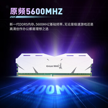 长城（Great Wall）32G(16G*2)套条 DDR5 5600 马甲条 台式机内存条