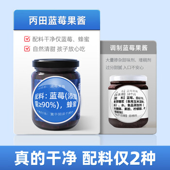 丙田 蓝莓果酱220g 0脂肪果肉无添加蔗糖 烘焙面包涂抹水果酱儿童冲饮