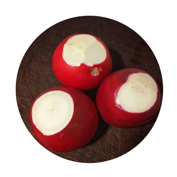 大菜园 雌性圆红萝卜内白外红水果脆红皮萝卜 雌性 新鲜现挖 5000g