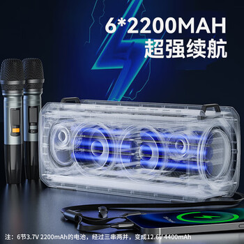 索爱（soaiy）SH05户外K歌5.3蓝牙音箱声卡音响一体机四喇叭双振膜立体声重低音炮混响广场舞直播带2个麦克风